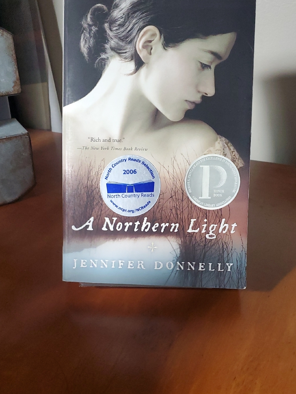 A Northern Light by Jennifer Donnelly - Soft Beige & Cream Cover (11)